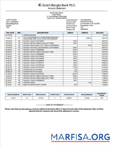 Blank Bangladesh Dutch Bangla bank Limited account statement word template